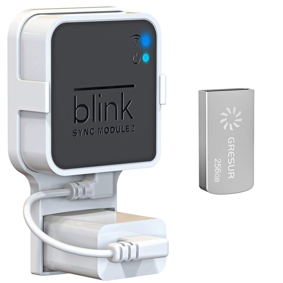 256GB USB Flash Drive for Local Video Storage with the Blink Sync Module 2 Mo...-image