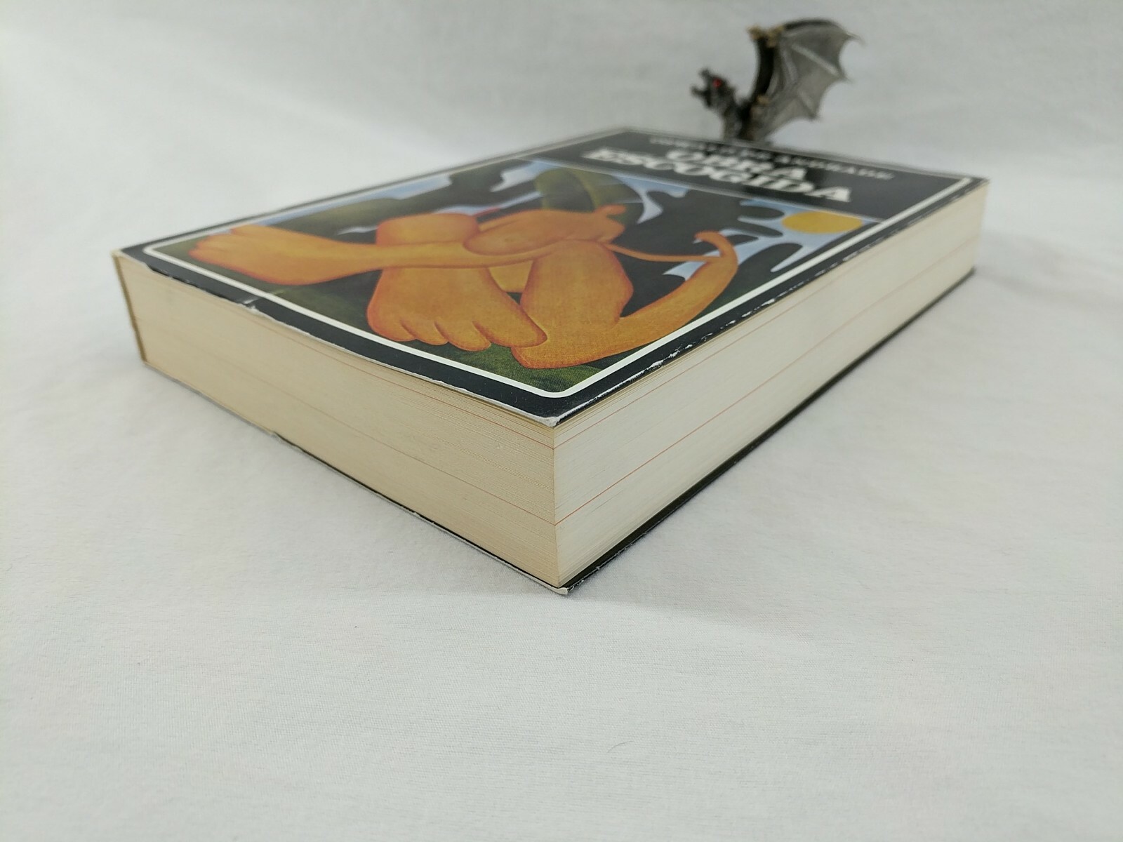 Foto 5 di 6
