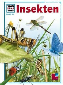 Was ist was, Band 030: Insekten von Steghaus-Kovac, Sabine | Buch | Zustand gut