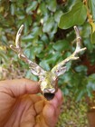 Picture 4 of 6