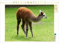 Calvendo Puzzle Alpaca Foal | 1000 Pieces, Finished Size 25.2 × 18.9 In (64 × 48
