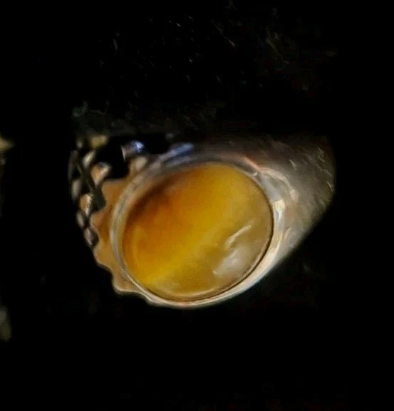 Anel masculino vintage de ouro branco 10k olho de tigre tamanho 12 - Imagem 3 de 4