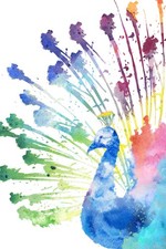 Peacock Colorful Watercolor Cool Wall Decor Art Print Poster 12x18