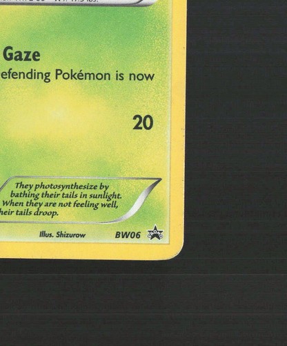 Tarjeta holográfica Pokémon Snivy BW06 Black & White Black Star Promo LP - Imagen 6 de 10