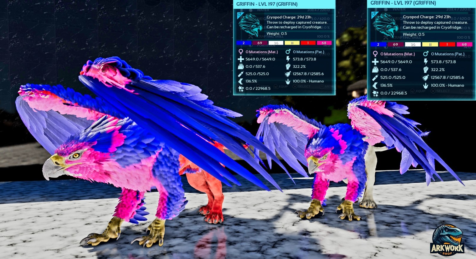 Picture 3 of 17