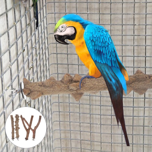 4Pcs Standing Bird Parrot Stand Bird Cage Stand Standing collection Parrot Parakeet Cage