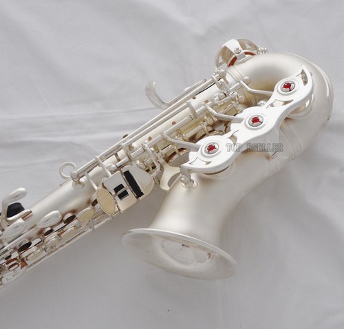 Professional new TaiShan Curved Soprano Saxophone Satin Silver Sax Italian pads - Picture 2 of 8