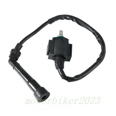 New Ignition Coil For SMC Quadzilla 250-300cc Barossa RAM300 CAPTAIN 300 STINGER