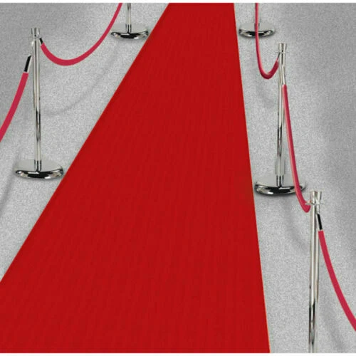 60ft Graduation Ceremony Fake Pretend Red Carpet Party Prom Photo Accessory - Picture 4 of 5