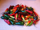 Assorted Hot Pepper Mix - 25 Seeds Comb S/H!