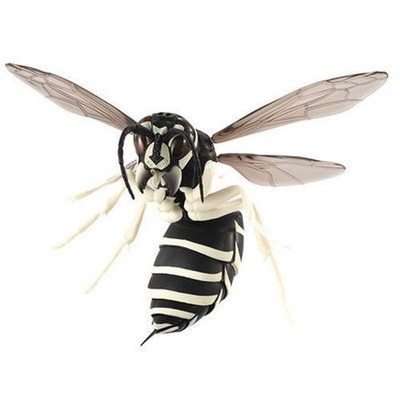 Bandai Gashapon Hornet Action Figure Black Wasp Vespula flaviceps 12cm Japan