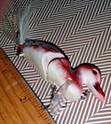 Picture 6 of 10