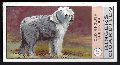 EDWARDS, RINGER & BIGG - DOGS SERIES (KLONDYKE) - #17 OLD ENGLISH SHEEP DOG