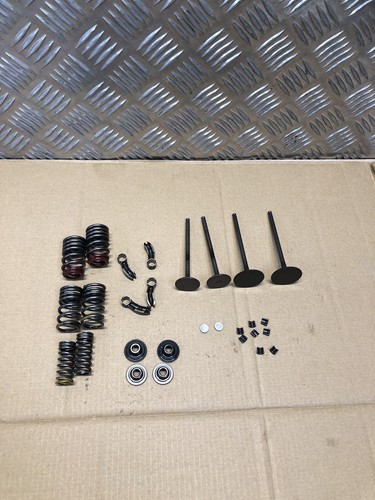 BMW S1000 RR K67 S1000 XR K69 CYLINDER HEAD VALVES SPRINGS ROCKERS SET 2019 On - Picture 14 of 19