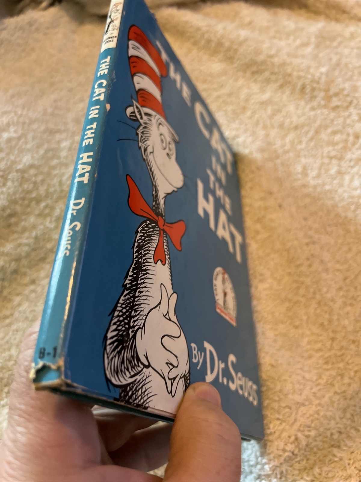 Picture 5 of 24