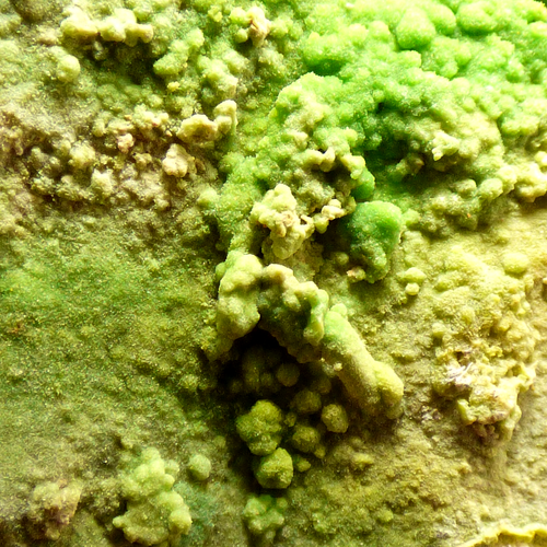 Pyromorphite Crystals Bwlch Glas Mine Talybont Wales UK Mineral Specimen 7cm - Picture 10 of 23