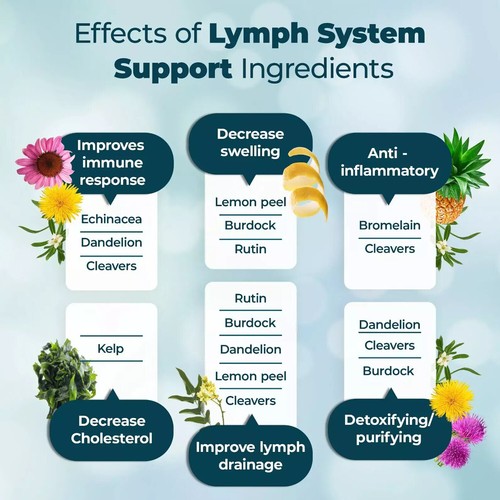 PureHealth Research Lymphsystem - Nahrungsergänzungsmittel zur Lymphunterstützung 60 Kapseln - Bild 4 von 12