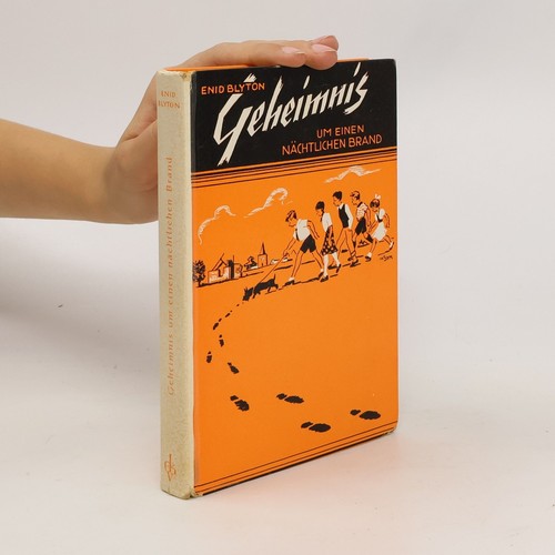 Geheimnis: um einen nächtlichen Brand | Enid Blyton