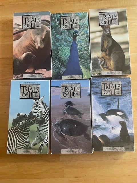David Attenborough's 1991 Time Life The Trails of Life ~ 12 Volume Set VHS Tapes - Image 3 of 4