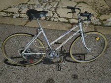 Vintage Sears Roebucks Ted Williams Free Spirit His & Hers