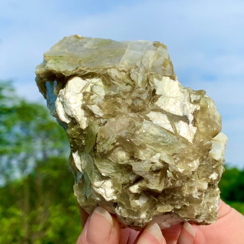 364G Natural Dorado Mica Cristal Racimo Mineral Sanación Roca Muestra Visualización - Imagen 21 de 24