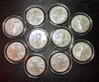 RARE LOT of 10 (BU) 2025 $1 American Silver Eagle 1 oz Coins 10oz Silver Bullion