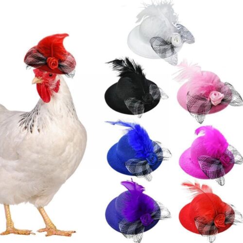Strap Rooster Duck Cap for Hens Feather Top Hat Pets Supplies Chicken Hats - Afbeelding 1 van 10
