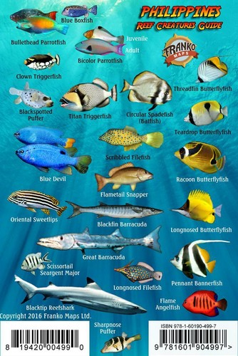 Franko Philippines Reef Creatures Guide Laminated Fish ID Card 4" x 6" - Imagen 2 de 2
