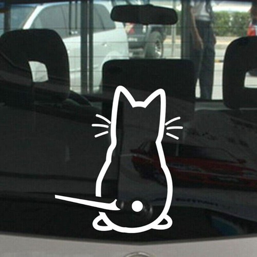 Tergicristallo coda mobile gatto divertente adesivo auto decalcomanie bastone parabrezza posteriore - Foto 2 di 8