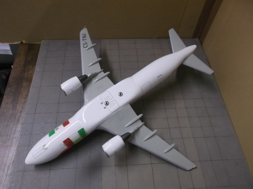 Airbus A320 CS-TNJ TAP Portugal 1:100 resin custom made model - Picture 6 of 10
