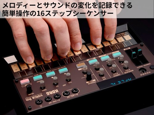 KORG volca fm2 FM Synthesizer 6 Voice Chorus Reverb Built-in Speaker Black Japan - Picture 5 of 8