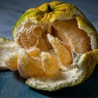 Foto 6 di 10