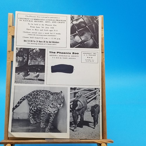 Arizoo or phoenix zoo summer of 1965 volume 4 #2 15 page - Imagen 2 de 4