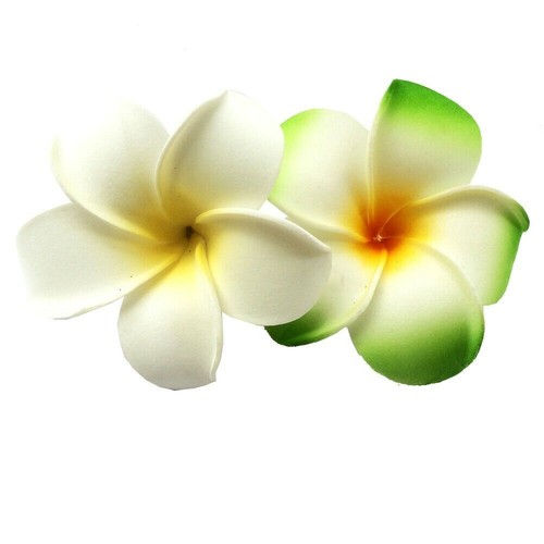 2 pz clip per capelli hawaiana frangipani plumeria testa schiuma fiore festa spiaggia - Foto 40 di 46