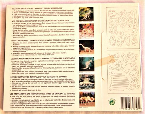 5 New Home School Schooling Kits IQ Assembling Products Dinosaur Puzzles #2 - Picture 10 of 12