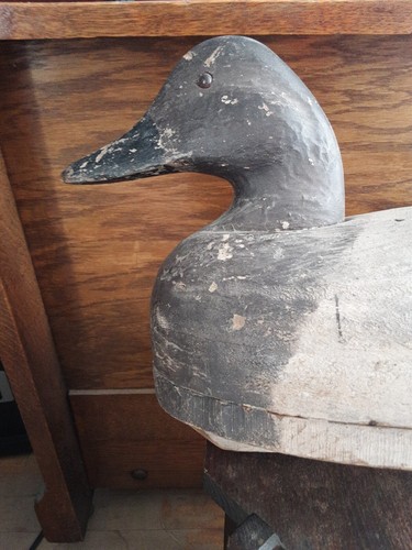 Antique Duck Decoy 17.5" long Canvasback Hand Carved LOOK - Picture 15 of 24