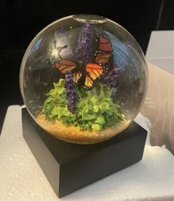 Cool Snow Globe Monarch Butterfly Dome Glass Display New In Box