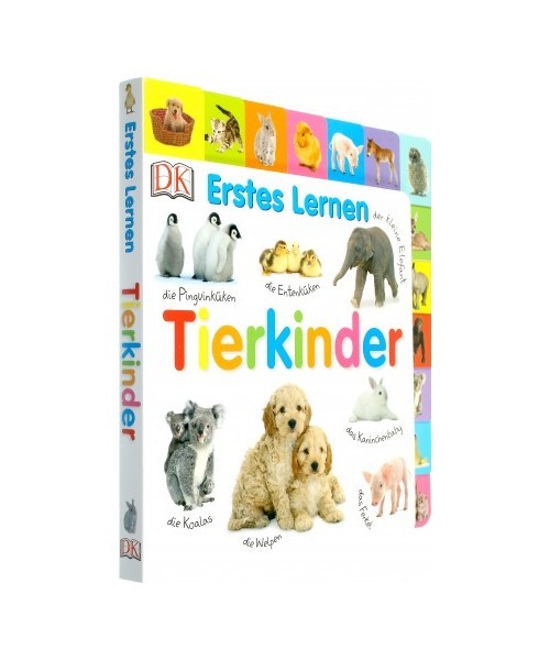 Erstes lernen Tierkinder - Unbekannt