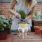  Dekorativer Blumentopf Für Zimmerpflanzen Pflanzregal Blumenregal Innenräume
