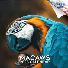 Macaws Calendar 2026 FULL SIZE 12x24 Made in USA