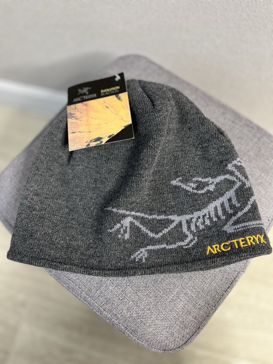 【新品】アークテリクス Bird Head Toque ビーニーARC’TRYX ARC'TERYX(アークテリクス) Bird Head Toque(バード ヘッド