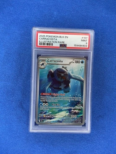 2025 Pokémon Blk EN Carracosta Illustration Rare #107 PSA 9