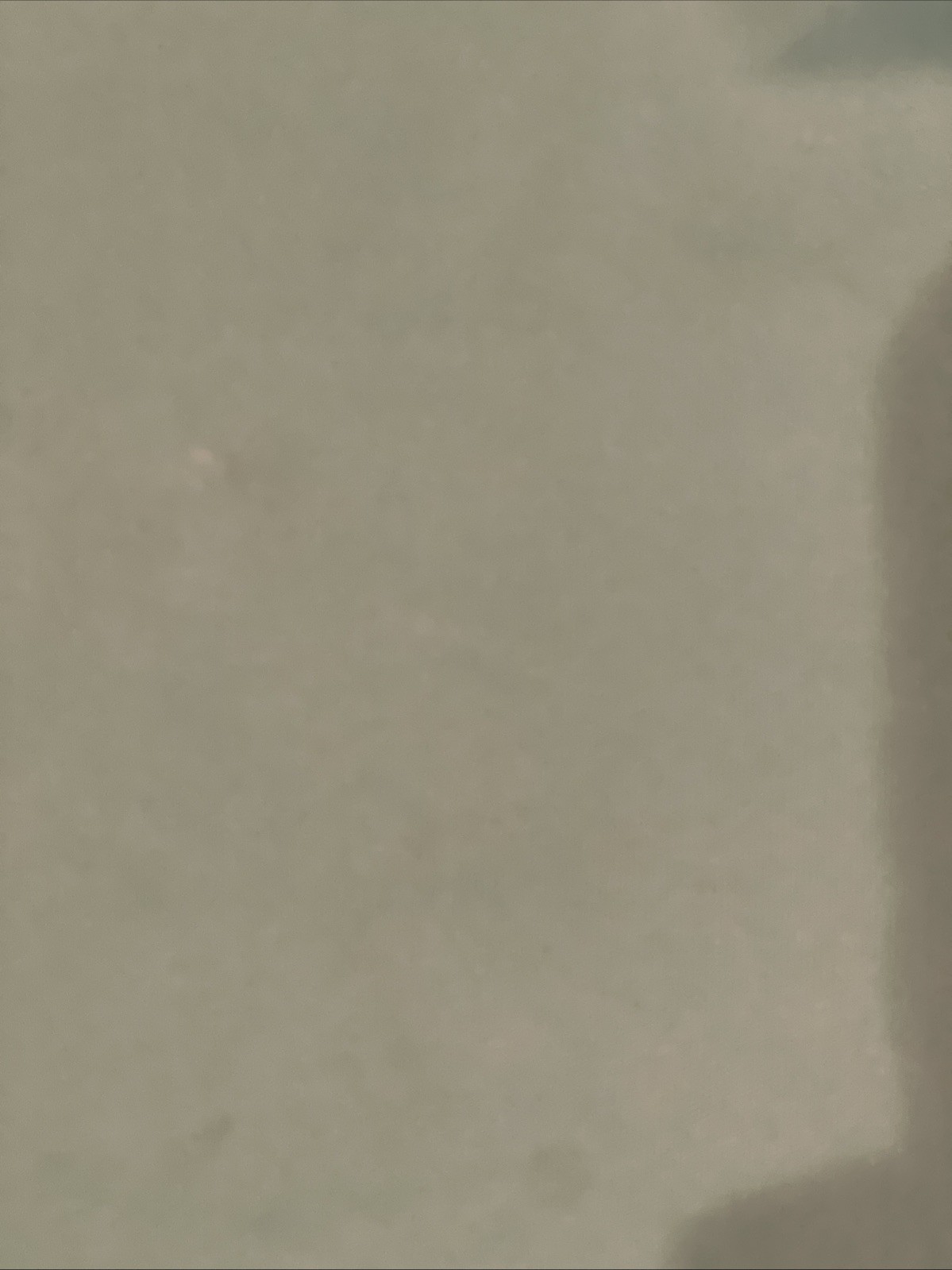 Picture 4 of 8