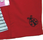 Bild 5 von 10