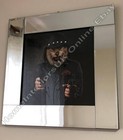 Picture 4 of 11