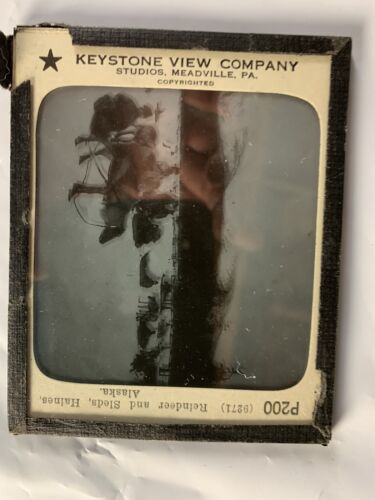 ANTIGUA FOTO DE VIDRIO NEGATIVO RENO Y TRINEOS HAINES ALASKA HOMBRES NIEVE - Imagen 2 de 3
