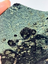 Kambaba Jasper Stromatolite Rough Slab Lapidary Cabbing Carving Combo Ship Avail