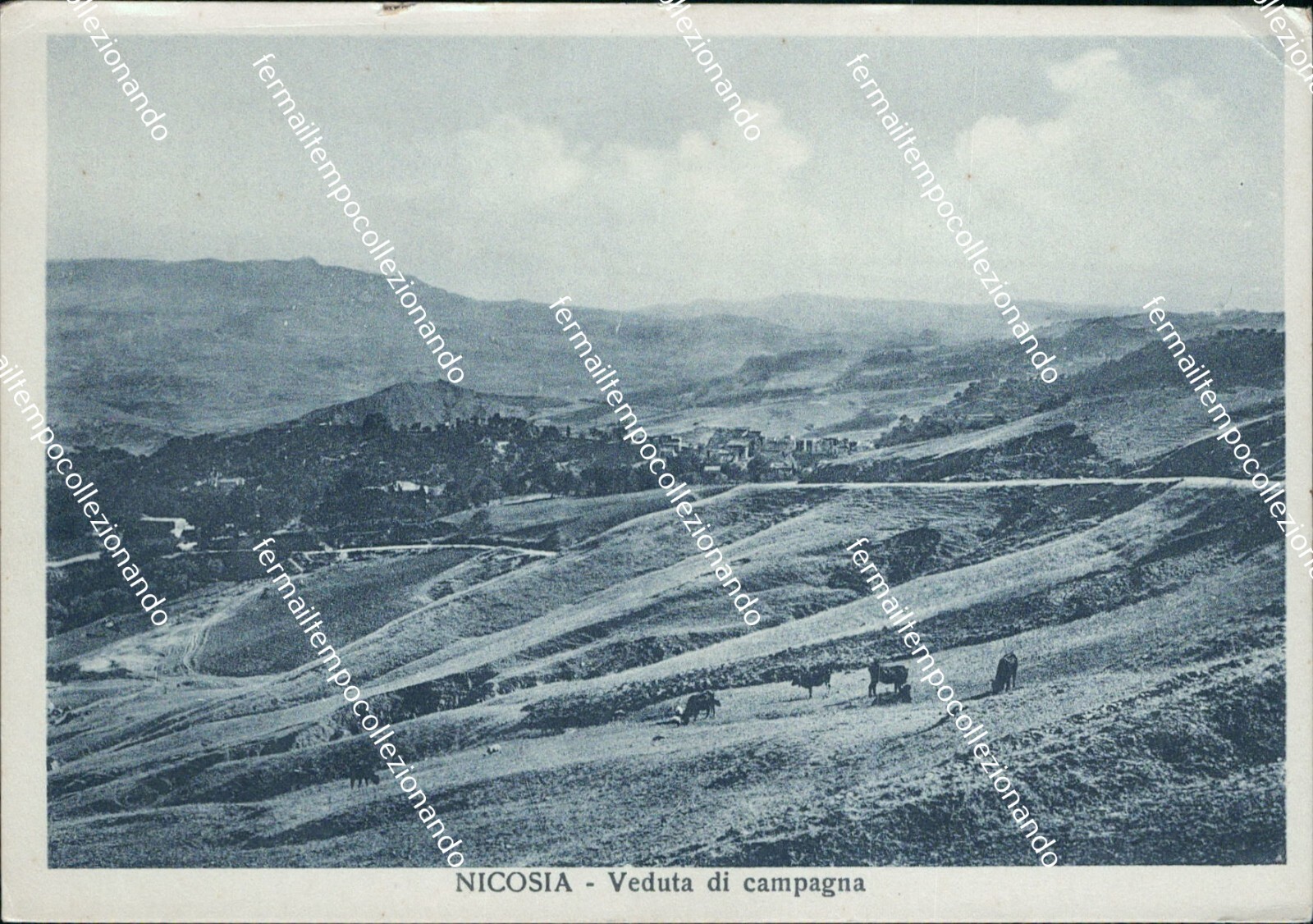 Foto 1 di 2