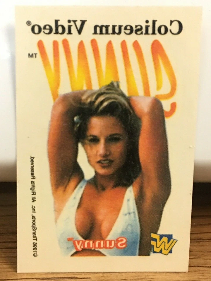 WWF WWE 体育馆视频纹身 4 件套装 The Undertaker Sunny Bret Heart 完好 — 第 4/4 张图片