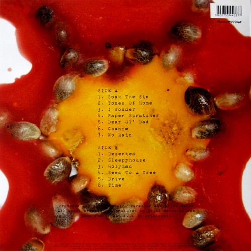 Blind Melon - Blind Melon Vinyl, LP, Album, Reissue, 180 Gram - Picture 2 of 5